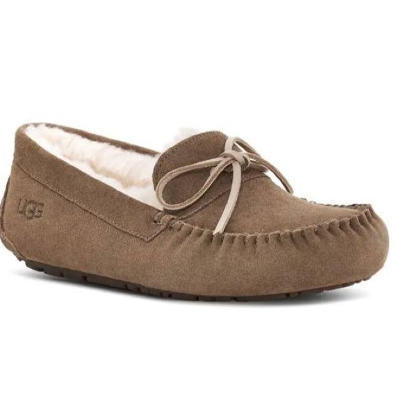 UGG Men’s Corvin Suede Wool Slide On Slipper on Dry Leaf - Picture 1 of 9